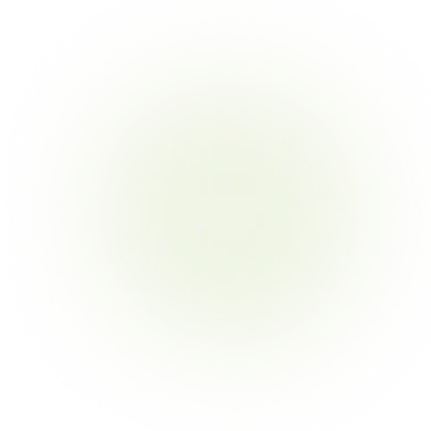 Ellipse 29